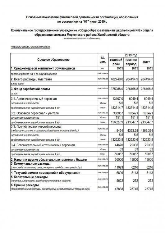 Основные показатели финансовой деятельности организации  по состоянию на "1"июля 2019г.