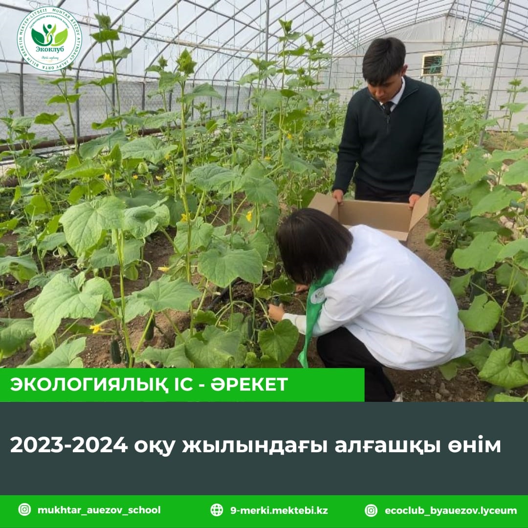 2023-2024 оқу жылындағы алғашқы өнім