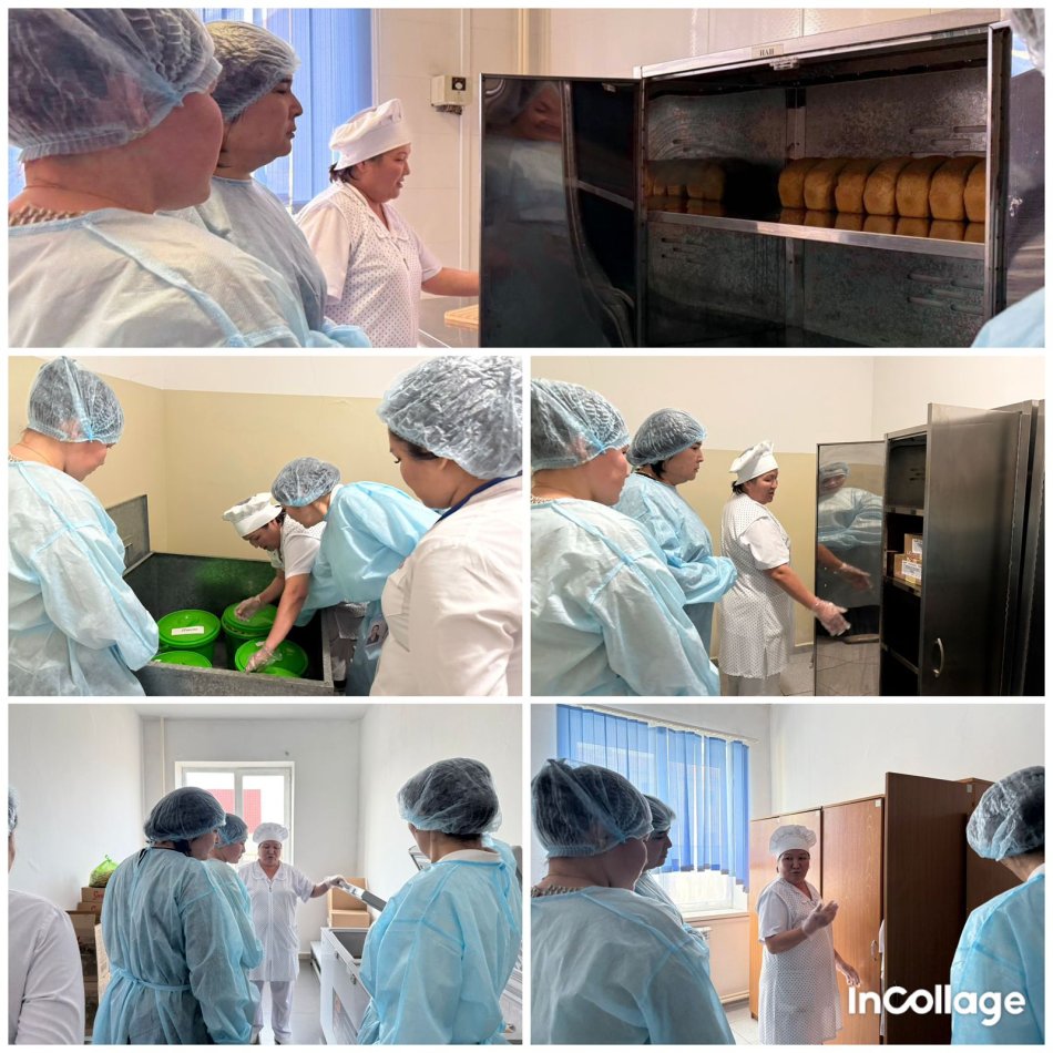 Тамақтану сапасының мониторингісі