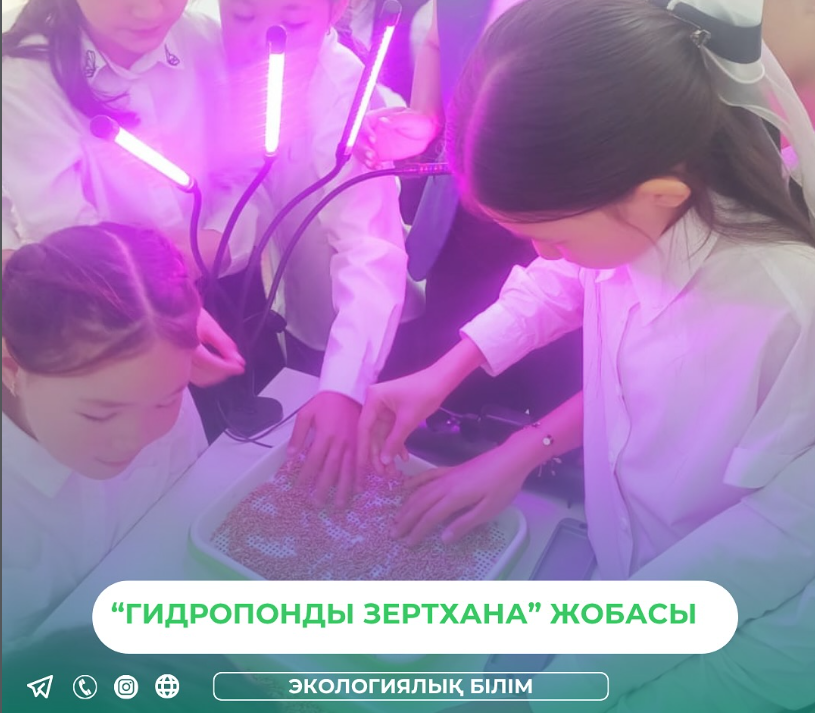 «Гидропонды зертхана» жобасын таныстырылым сабағы