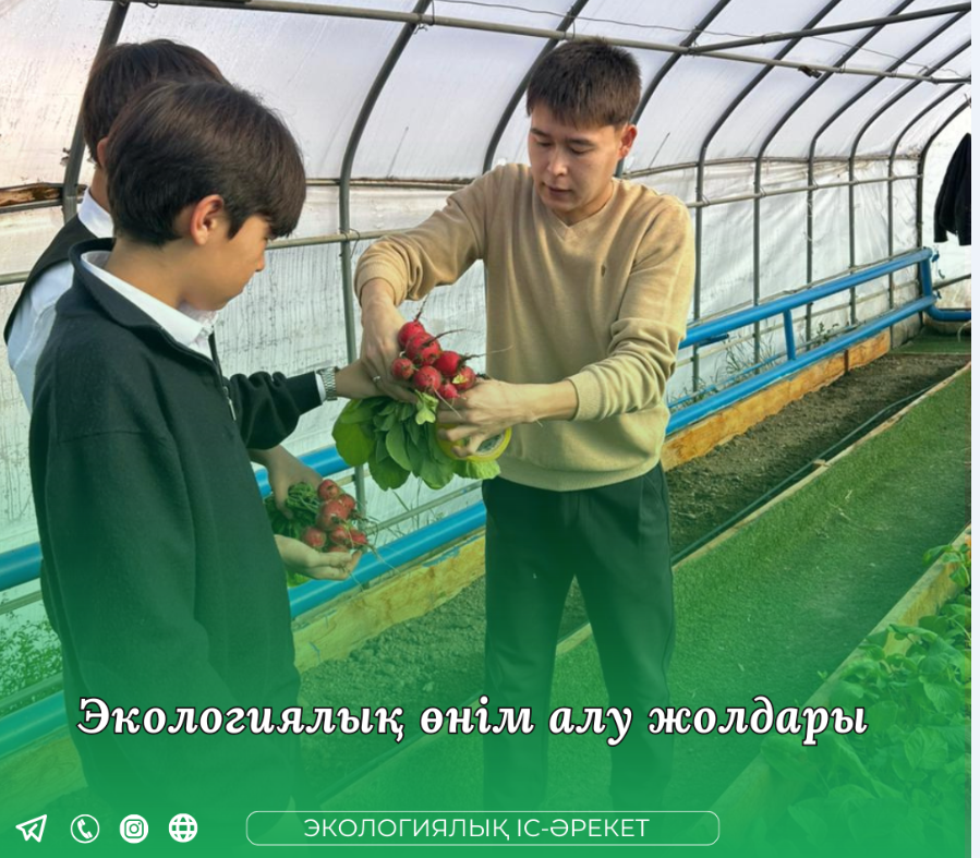«Экологиялық таза өнім алу жолдары» тақырыбындағы тәжірибелік практикум сабағы