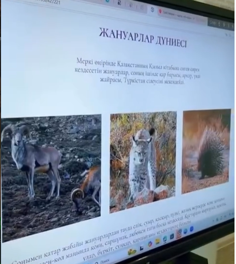 Меркі өңірінің ресми сайтын таныстыру сабағы (интеллектуалды-танымдық іс-шара)